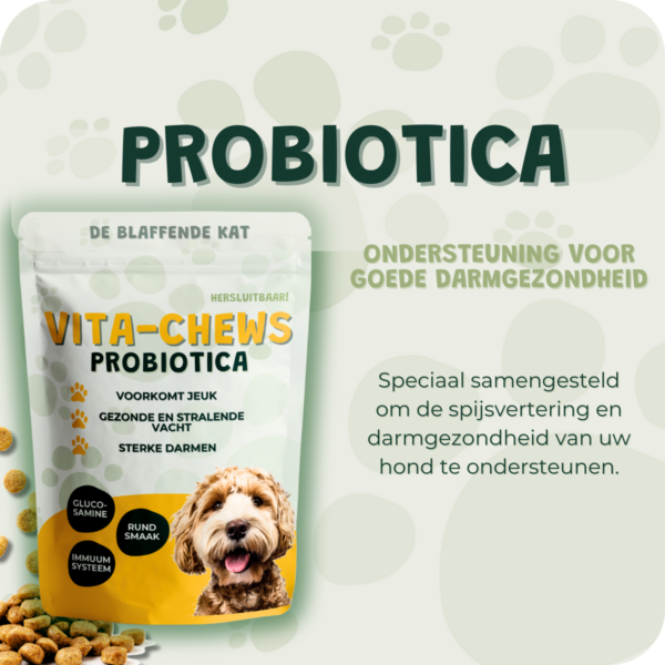 Probiotica Supplementen Listing Vitachews