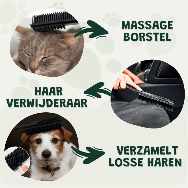 V2.0 Grote tapijthark dierenhaarverwijderaar, herbruikbare lange steel laagpolige tapijtschraper pluisverwijderaar voor katten ontharing, metalen hondenhaarverwijderaar pluisborstel, tapijten bank