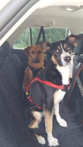 Img 20240517 Wa0001.jpeg