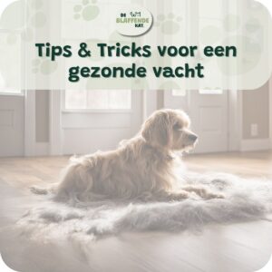 Vachtverzorging hond