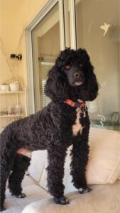 Fotos Klanten Review 1080 X 1920 Px.jpg