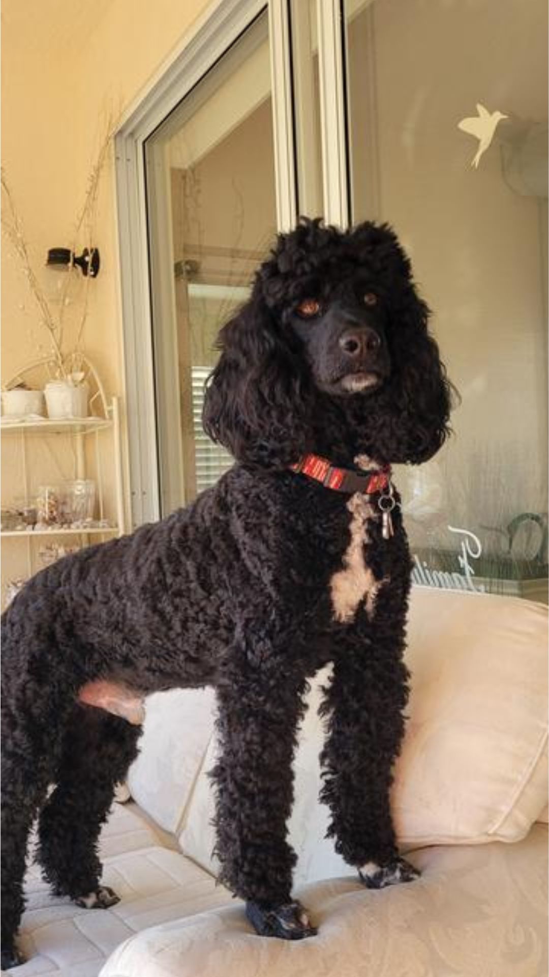 Fotos Klanten Review 1080 X 1920 Px.jpg