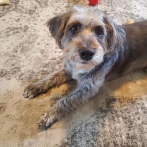 Fotos Klanten Review.jpg