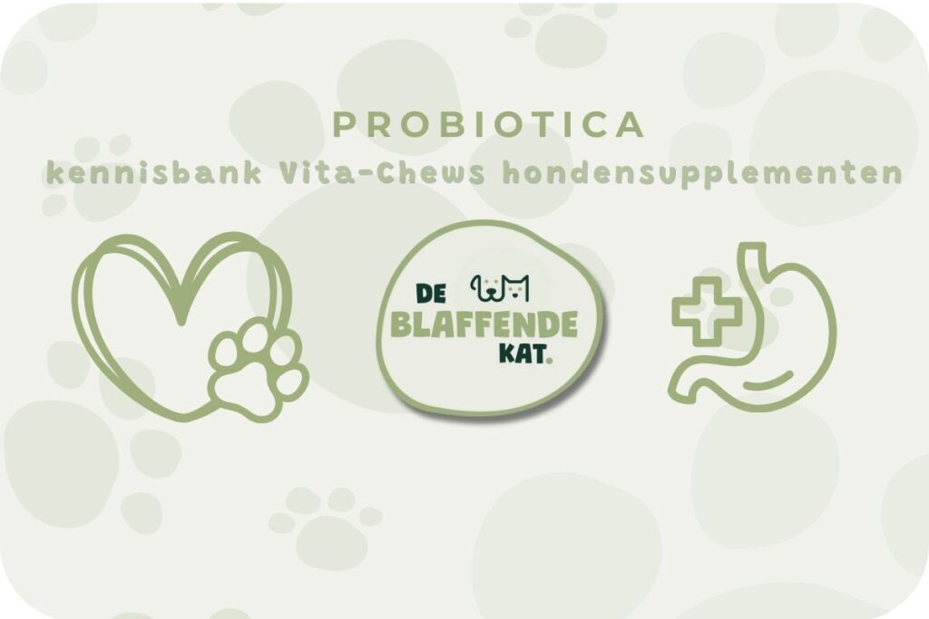 Probiotica Voor Honden Achtergrond (7)