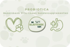 Probiotica Voor Honden Achtergrond (7)