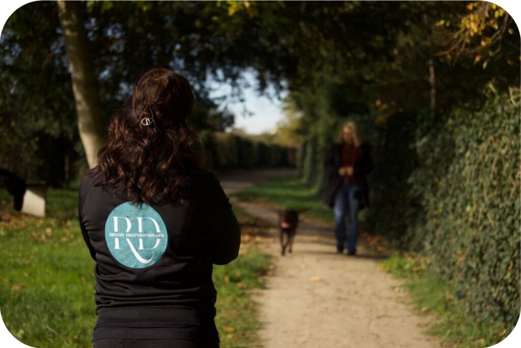 Fysiotherapie Voor Honden (1)