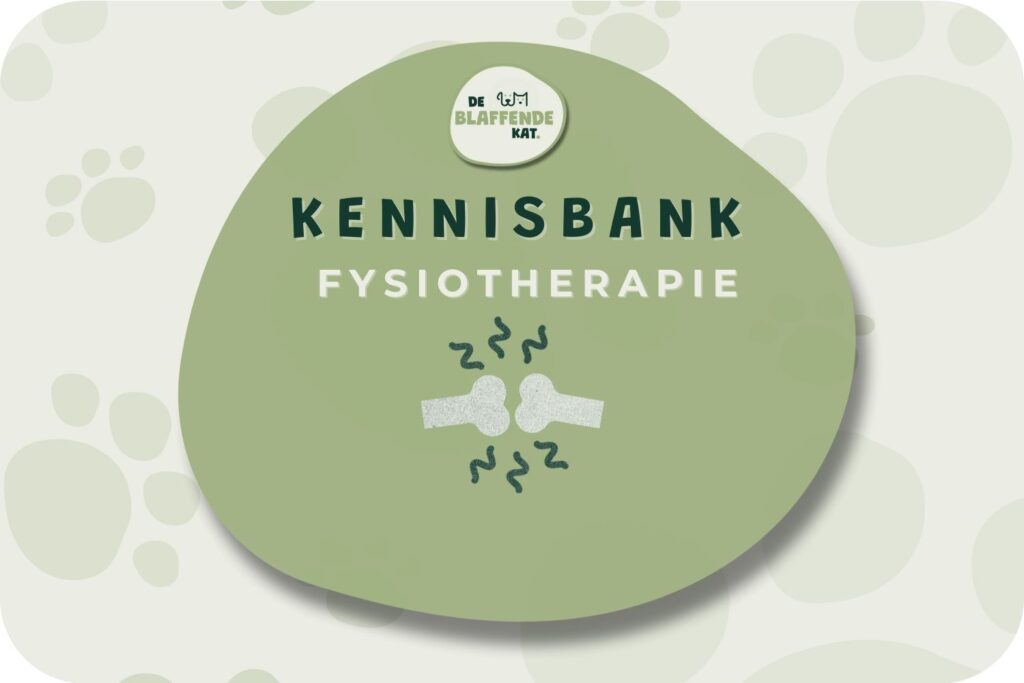 Fysiotherapie Voor Honden (3)