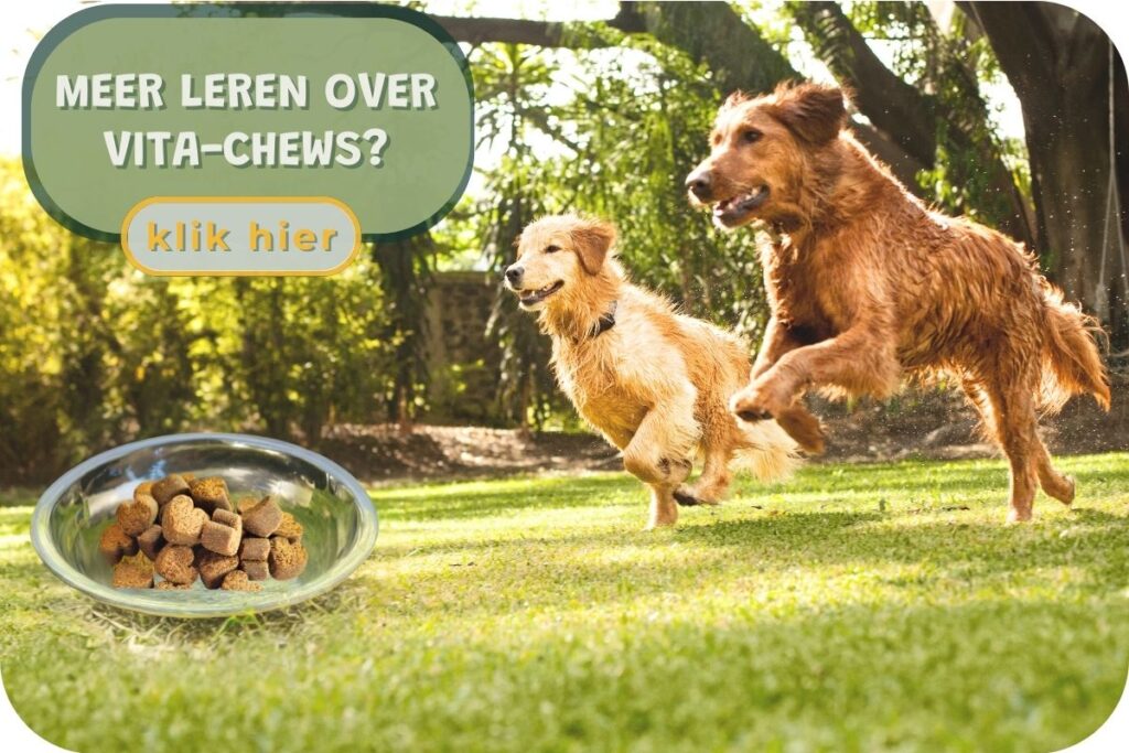 glucosamine voor honden