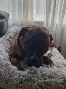 17025644859177509343087750898785 810x1080 1.webp