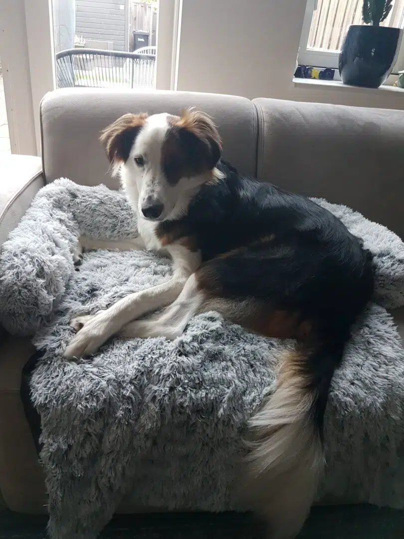 20231129 155257 1 810x1080 1.webp