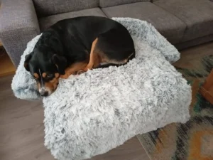 Fotoklantkussen 2048x1536 1.webp