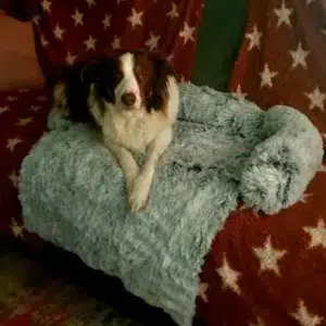 Fotos Klanten Review 1.webp