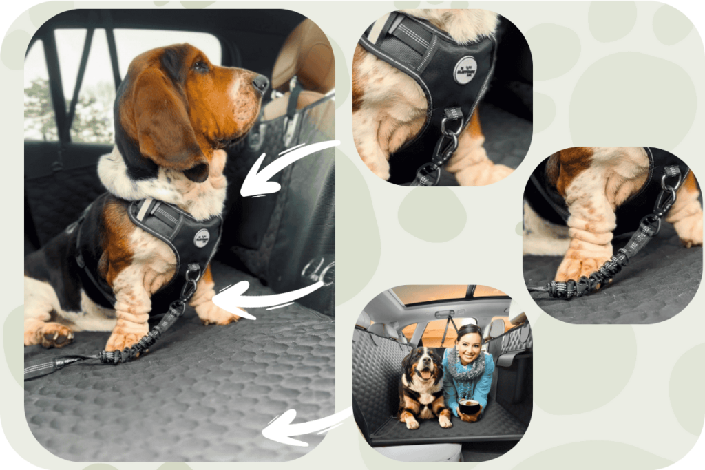 Hondendeken Auto Achterbank Blog 2 (3)