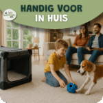 Reisbench Hond Bench In Huis