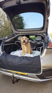 Hondendeken Auto Achterbak