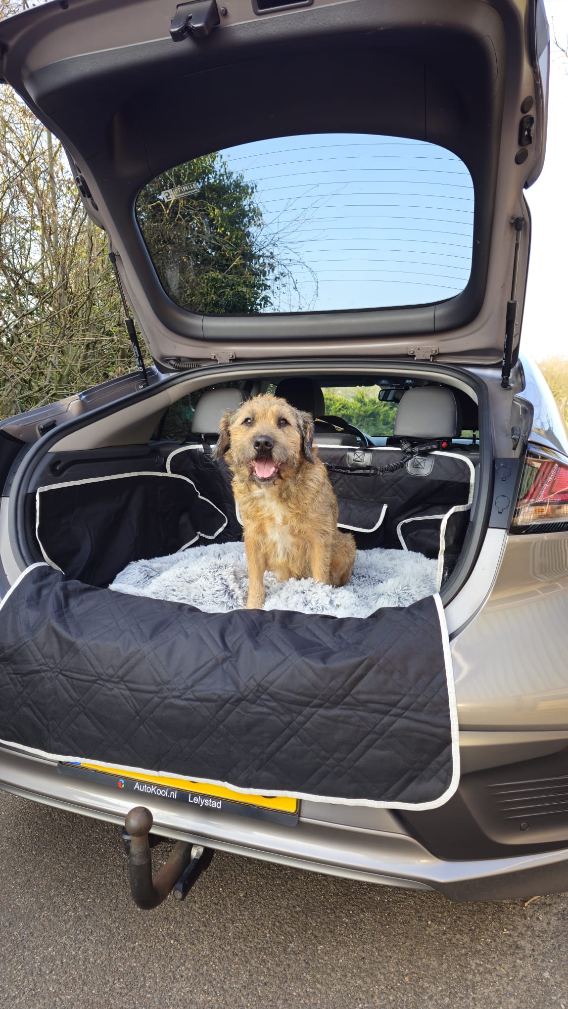 Hondendeken Auto Achterbak