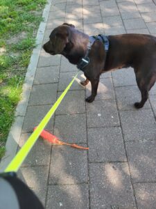 20250509 100744.jpg