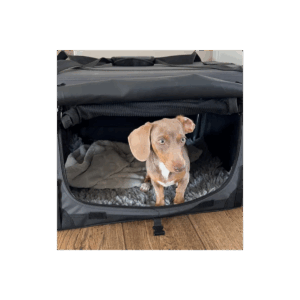 Maelson Hondenbench Foto Klant 2.png