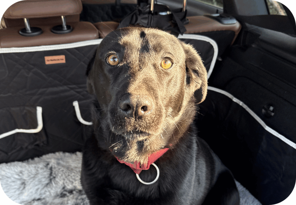 Afmetingen Webshops Blogs 2