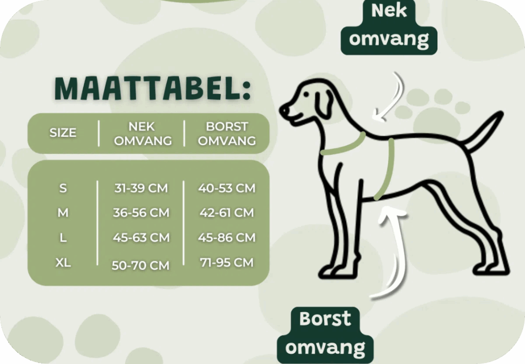 Het beste honden tuigje