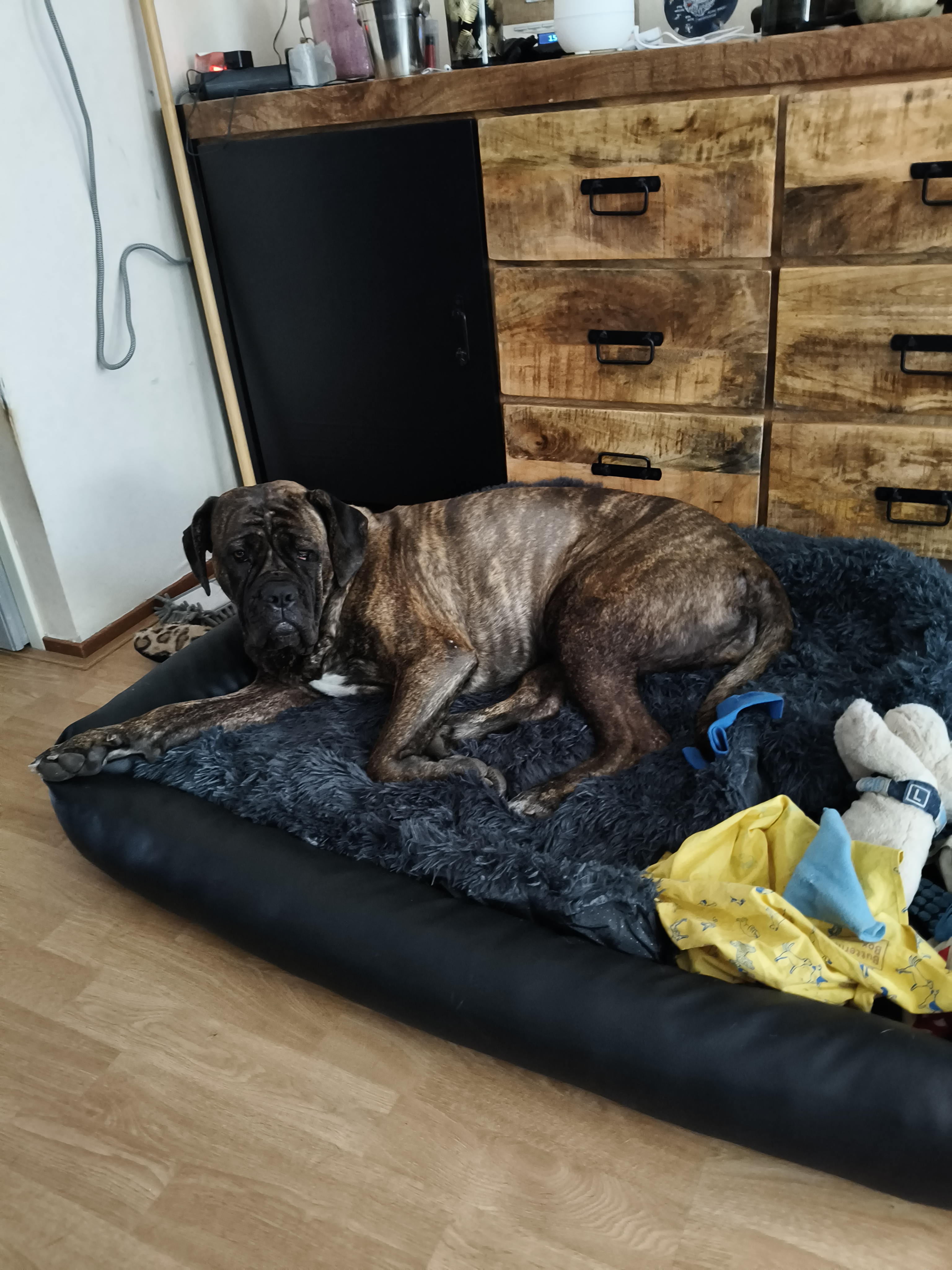 VanderHOME
